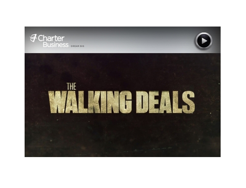 Charter Business